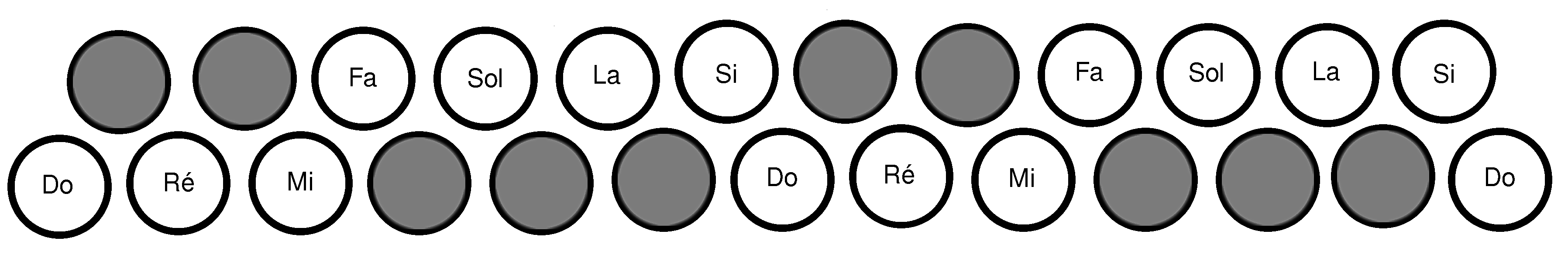 Image du clavier main droite de l'accordéon de Jean-Pierre Poulin: avec des touches blanches, et des touches noires pour les altérations